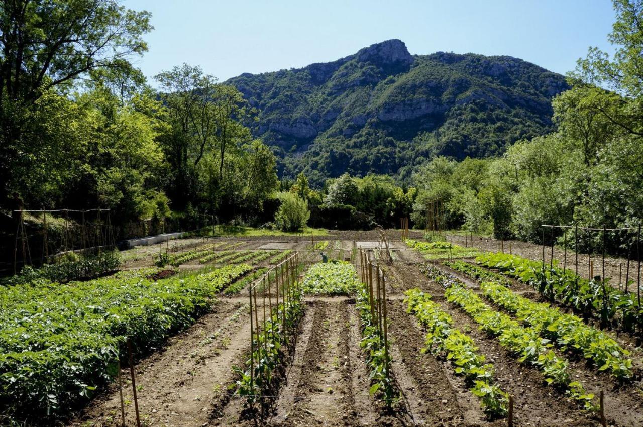 Chateauzen Madières Exteriör bild